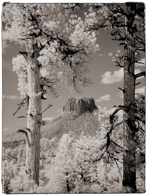 Mesa & Pines Infrared South of Canyon De Chelly, AZ � Dave Hickey
